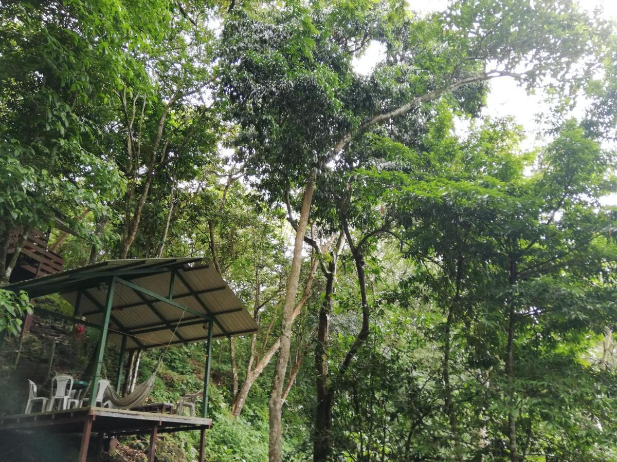 La Montanita Lodge Manuel Antonio Dış mekan fotoğraf