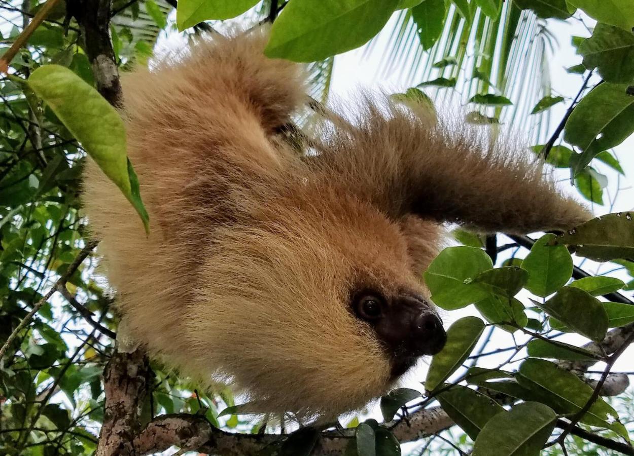 La Montanita Lodge Manuel Antonio Dış mekan fotoğraf